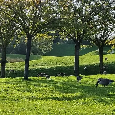 Du Chateau De Βενσέν