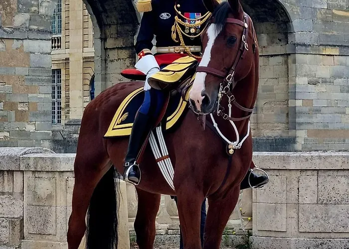 Du Château De * Vincennes